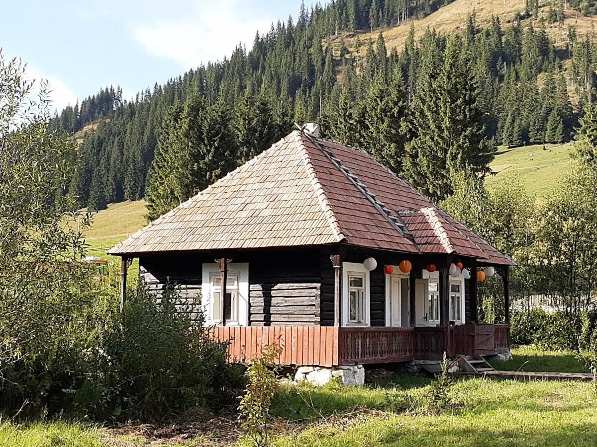 La Malu' Bistritei - Casutele Valea Stanii Exterior foto